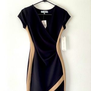 Almost Famous Bodycon Dress